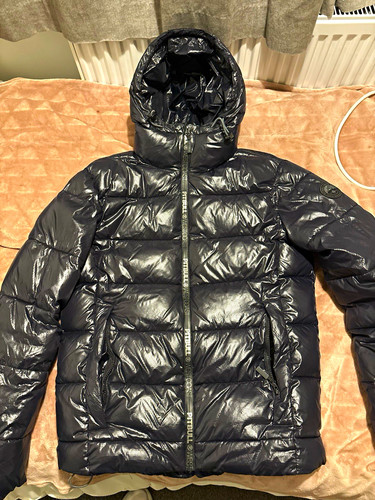 Pitbull men black - men’s, hooded
